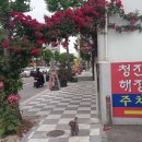 군분로 네이버블로그