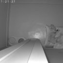 멍그니엘 애견호텔 서울강동점 이미지