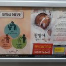 찬영 이미지