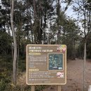 도시숲 | [제주도 새로 생긴 핫플레이스] 서귀포 '수악오름 도시숲' 솔직 후기 (입장료/주차장/화장실 정보)