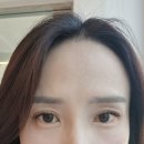 르네41 이미지