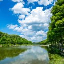 "청량한 여름, 담양에서 즐기는 1박 2일 여행지 BEST 4" 이미지