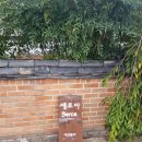한옥민박 | [경주 황리단길 숙소] 세로아한옥민박 | 뚜벅이 여행자 한옥숙소 내돈내산 후기