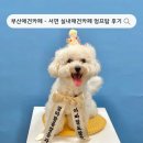 [ 부산애견카페 ] 서면 전포 실내 애견카페 멍프탑 , 애견용품점까지