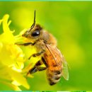 건양한의원 이미지