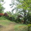 (주)송도공원 이미지