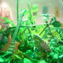 필룩스조명박물관 이미지