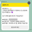 3박5일 방콕/파타야 단독투어 후기 (방콕 비오비 투어)