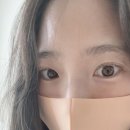 브로우민