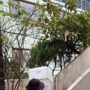 꽃동네경로당 이미지