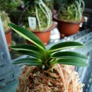 전임농장 이미지