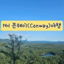 콘웨이주 이미지
