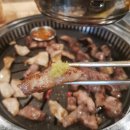 돼지는이베리코 이미지