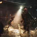 Tree of im 이미지