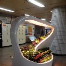 채광농장 이미지