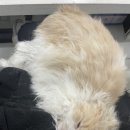 메아모스튜디오 이미지