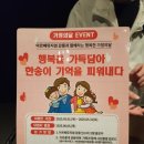 남길 | 강릉 아이와 실내 가족여행지 추천! 인생 샷 남길 수 있는 아르떼 뮤지엄 리얼 후기