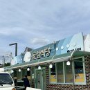 돌섬 | 울진 죽변항 맛집 추천 문어볶음 찐 맛집 ‘돌섬식당’ 후기