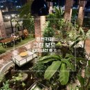 숲속그린세탁소 | 춘천 드라이브 코스 대형카페 그린보드 | 숲 속 정원 같은 대형 식물원 카페 내돈내산 후기