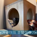 더조은 동물의료센터 이미지