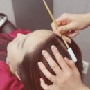 여기서 헤어 이미지
