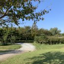 을숙도 생태공원 이미지