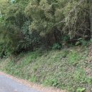 오케이부동산중개사무소 이미지