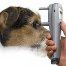 계절엔 동물의료센터 이미지