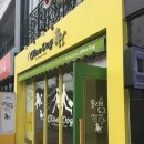 올리브 애견 이미지