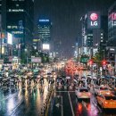 종필농장 이미지