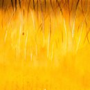 문인수묵화 이미지