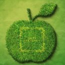 진사복집 이미지