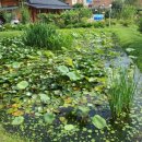 금강민박 이미지