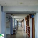 삼전초등학교 이미지