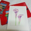 색연필디자인화 이미지