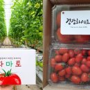 기우농장 이미지