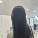 라임헤어 이미지