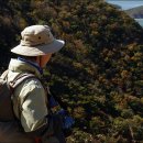 구불7길(신시도길) 이미지