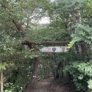숲속의 농장 | 광주 근교 화순 숲속의 베리팜 캠핑장 솔직 후기 아이들 추천