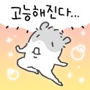 보이스노래타운