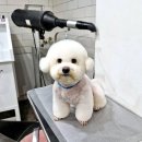 홍글몽글 이미지