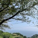 산해민박 | 남해 다랭이마을 오션뷰 카페 추천 &#39;카페톨&#39; 내돈내산 방문후기