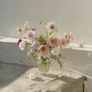 플로렛 이미지