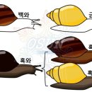 방달팽이 연구소 이미지