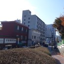 매산초등길 티스토리