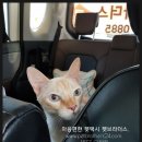 가판창동역점 이미지