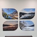 고복자연공원 갈대습지원 이미지