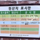 진품우리집오리 이미지