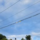 큰말하우스 이미지