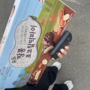돈백꽃도두점